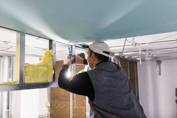 Best Insulation Contractor Near Me  in Manassas, VA