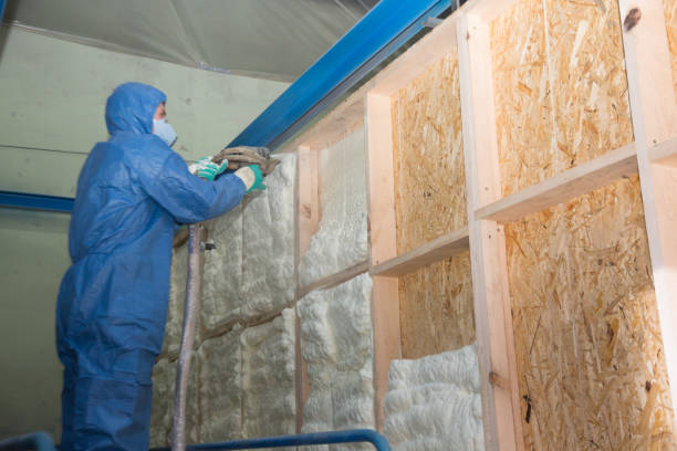 Best Affordable Insulation Services  in Manassas, VA